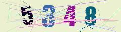 CAPTCHA validation image