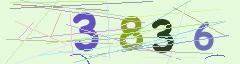 CAPTCHA validation image