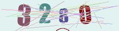 CAPTCHA validation image
