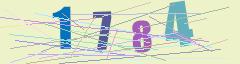 CAPTCHA validation image