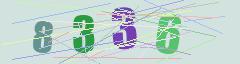 CAPTCHA validation image