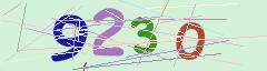 CAPTCHA validation image