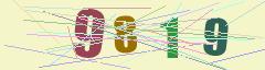 CAPTCHA validation image
