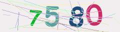 CAPTCHA validation image