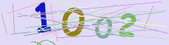 CAPTCHA validation image