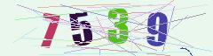 CAPTCHA validation image