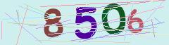 CAPTCHA validation image