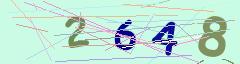 CAPTCHA validation image