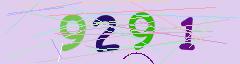 CAPTCHA validation image