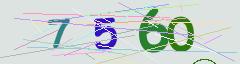 CAPTCHA validation image