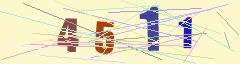 CAPTCHA validation image