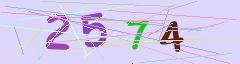 CAPTCHA validation image