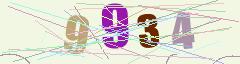 CAPTCHA validation image